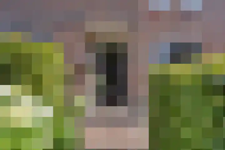 Engelaanhof 16 Veenendaal thumbnail 7