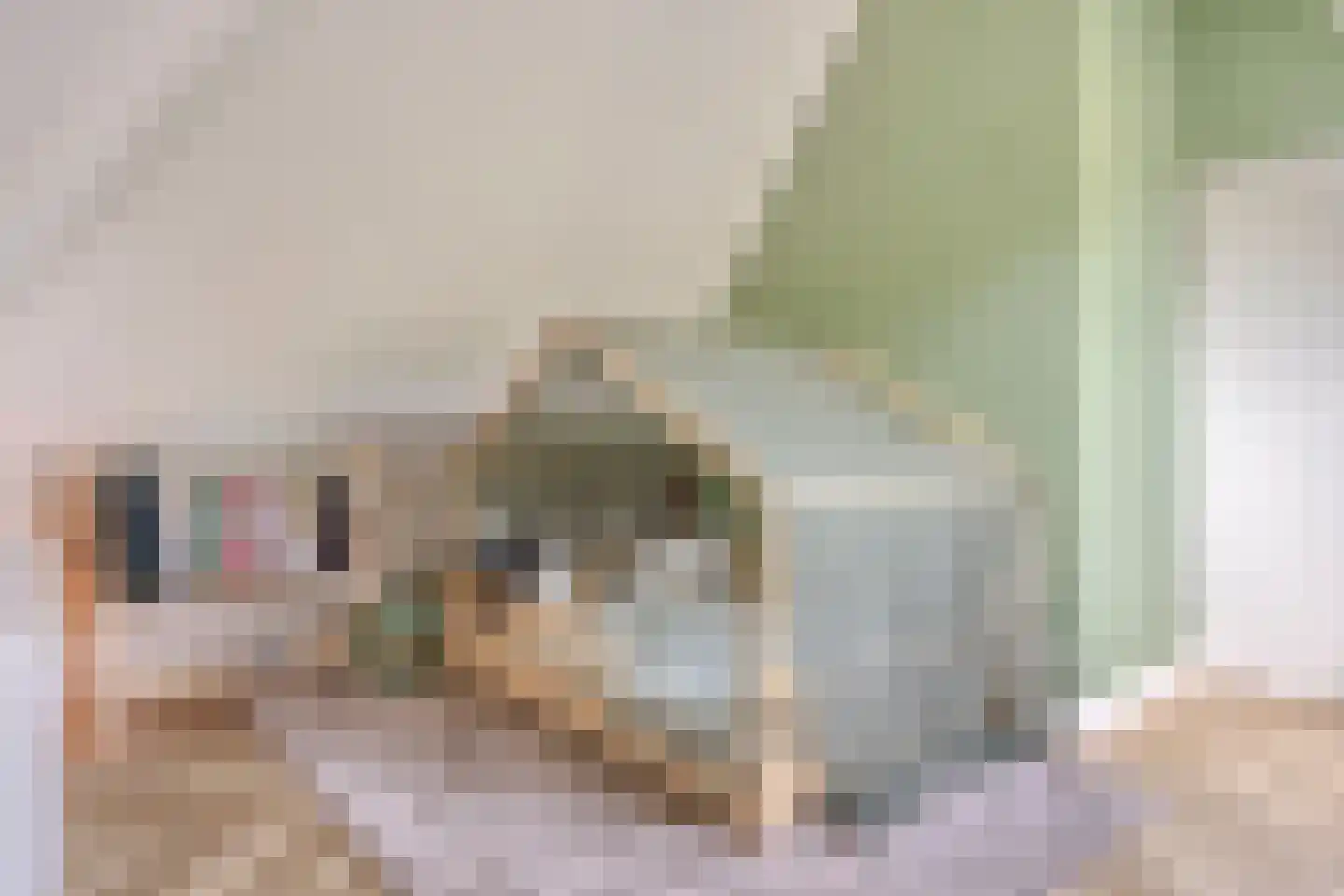 Engelaanhof 2 Veenendaal thumbnail 36
