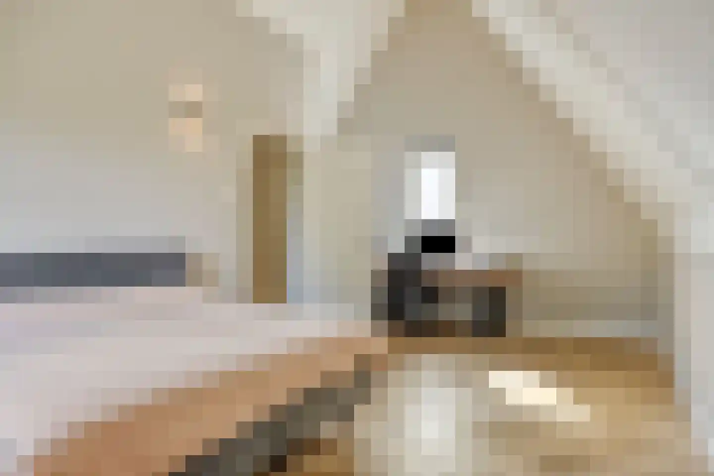 Engelaanhof 2 Veenendaal thumbnail 39