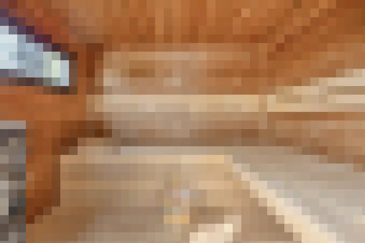Engelaanhof 2 Veenendaal thumbnail 47