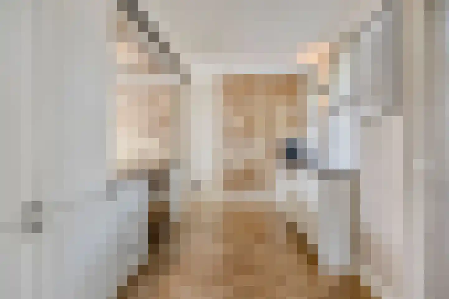Engelaanhof 2 Veenendaal thumbnail 5