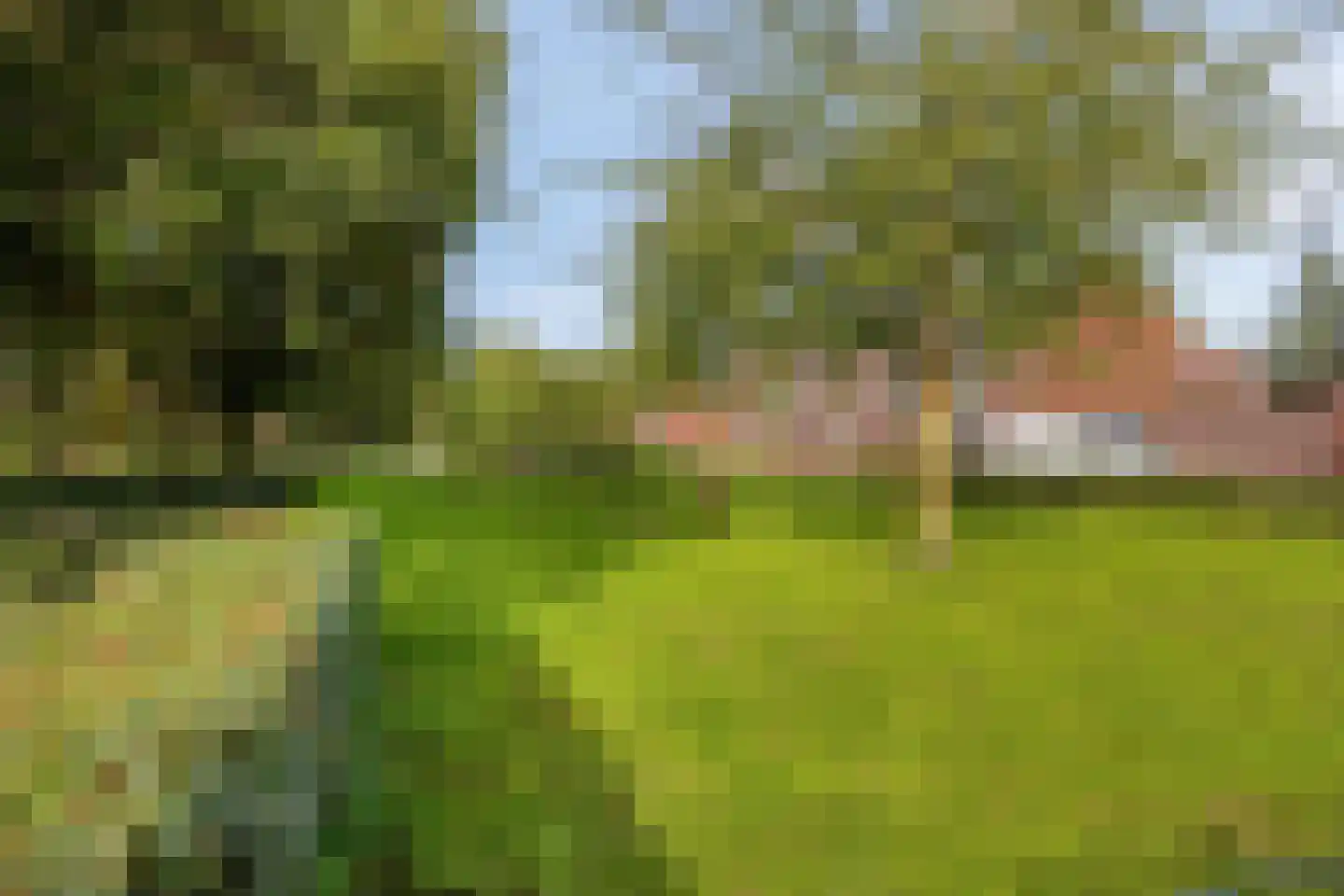 Engelaanhof 2 Veenendaal thumbnail 51