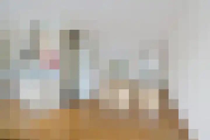 Engelakker 10 Warmenhuizen thumbnail 10