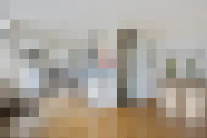 Engelakker 10 Warmenhuizen thumbnail 11
