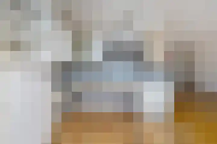 Engelakker 10 Warmenhuizen thumbnail 13