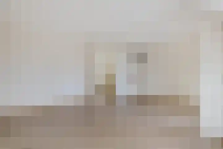 Engelakker 10 Warmenhuizen thumbnail 14