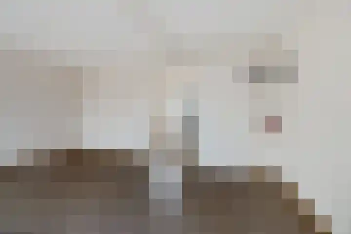 Engelakker 10 Warmenhuizen thumbnail 16