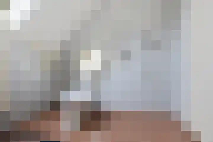 Engelakker 10 Warmenhuizen thumbnail 21