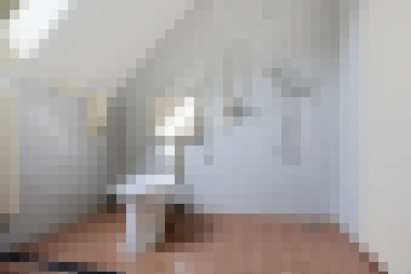 Engelakker 10 Warmenhuizen thumbnail 21