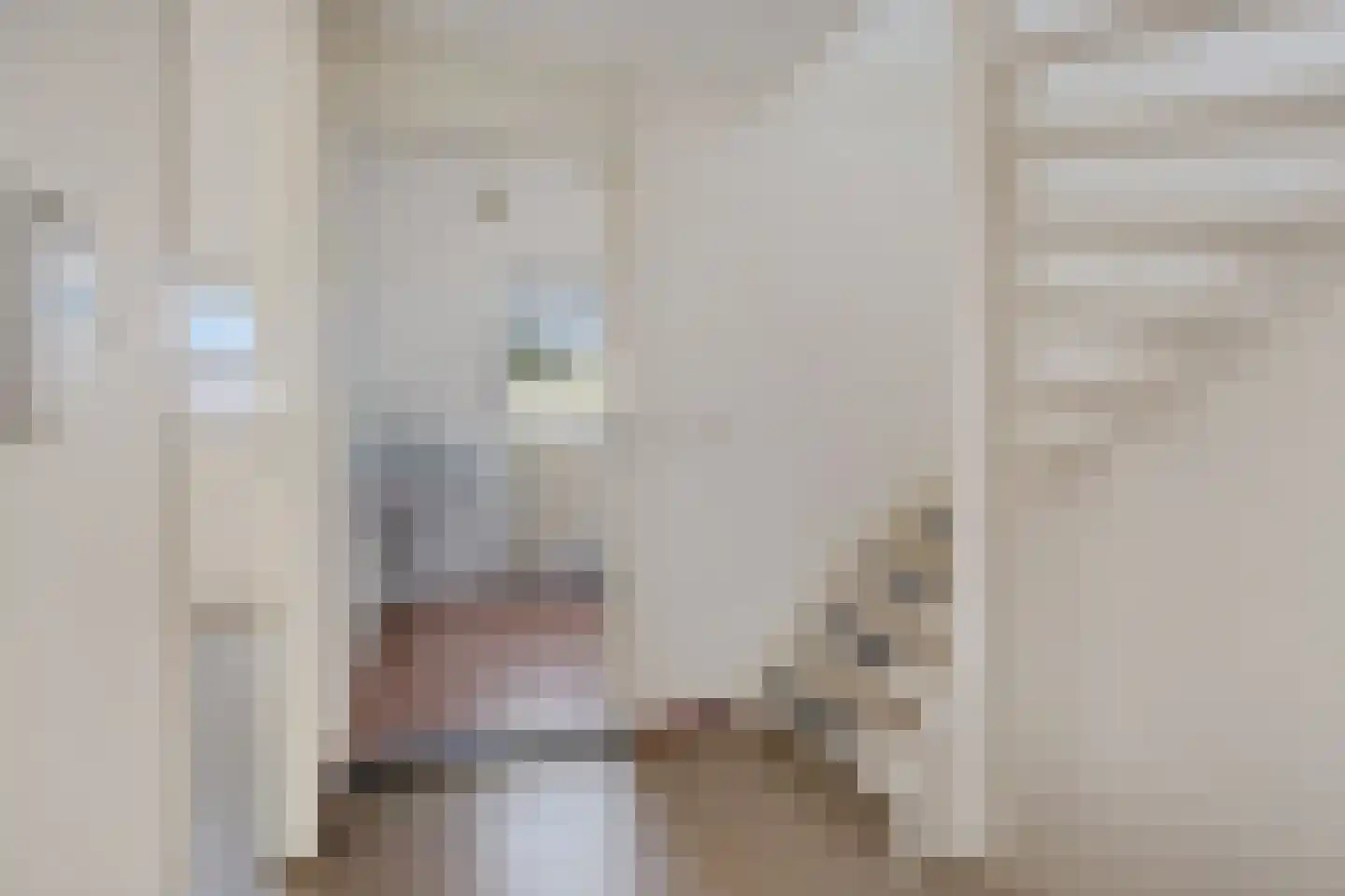 Engelakker 10 Warmenhuizen thumbnail 23