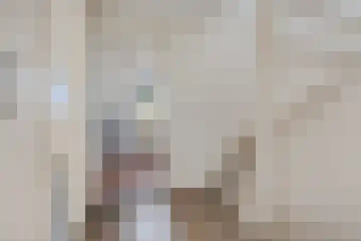 Engelakker 10 Warmenhuizen thumbnail 23