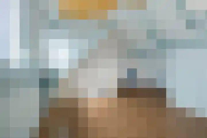 Engelakker 10 Warmenhuizen thumbnail 25