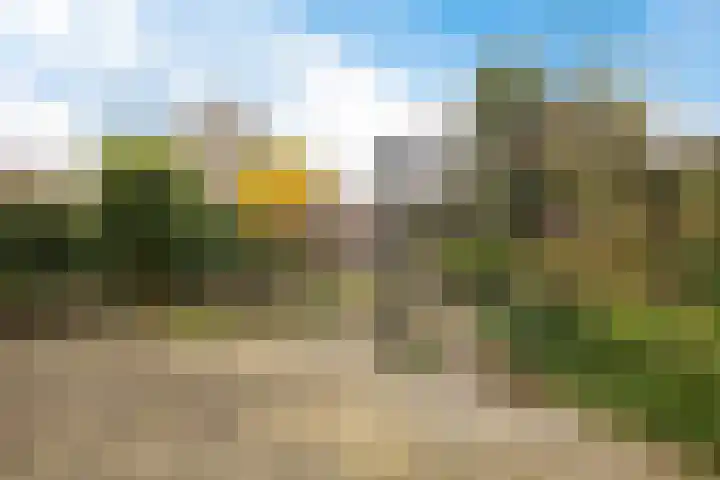 Engelakker 10 Warmenhuizen thumbnail 30