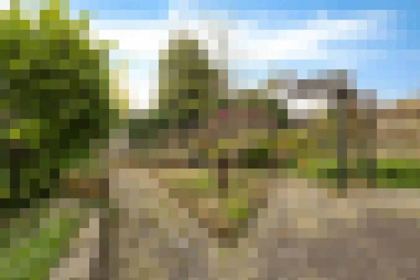 Engelakker 10 Warmenhuizen thumbnail 31
