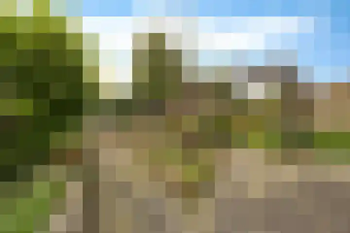 Engelakker 10 Warmenhuizen thumbnail 31