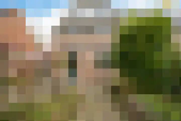 Engelakker 10 Warmenhuizen thumbnail 32