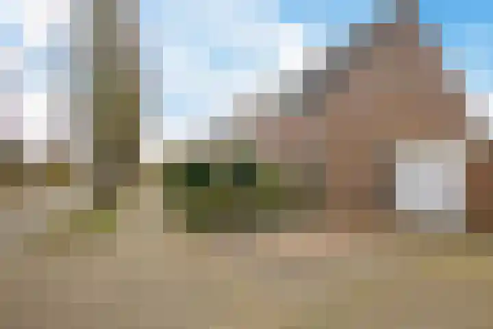 Engelakker 10 Warmenhuizen thumbnail 33