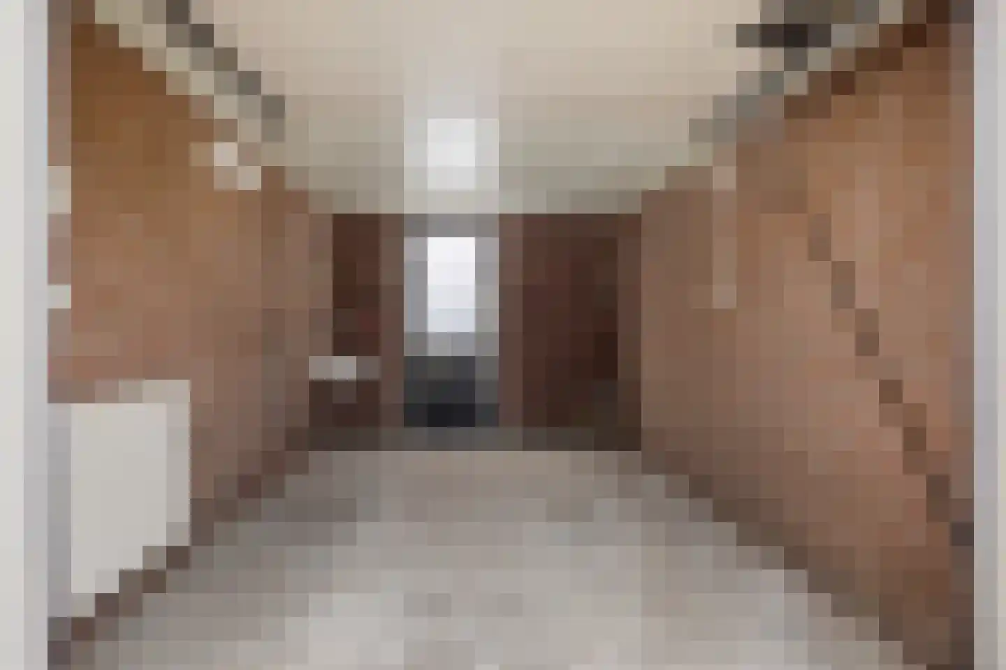Engelakker 10 Warmenhuizen thumbnail 35