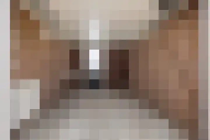 Engelakker 10 Warmenhuizen thumbnail 35