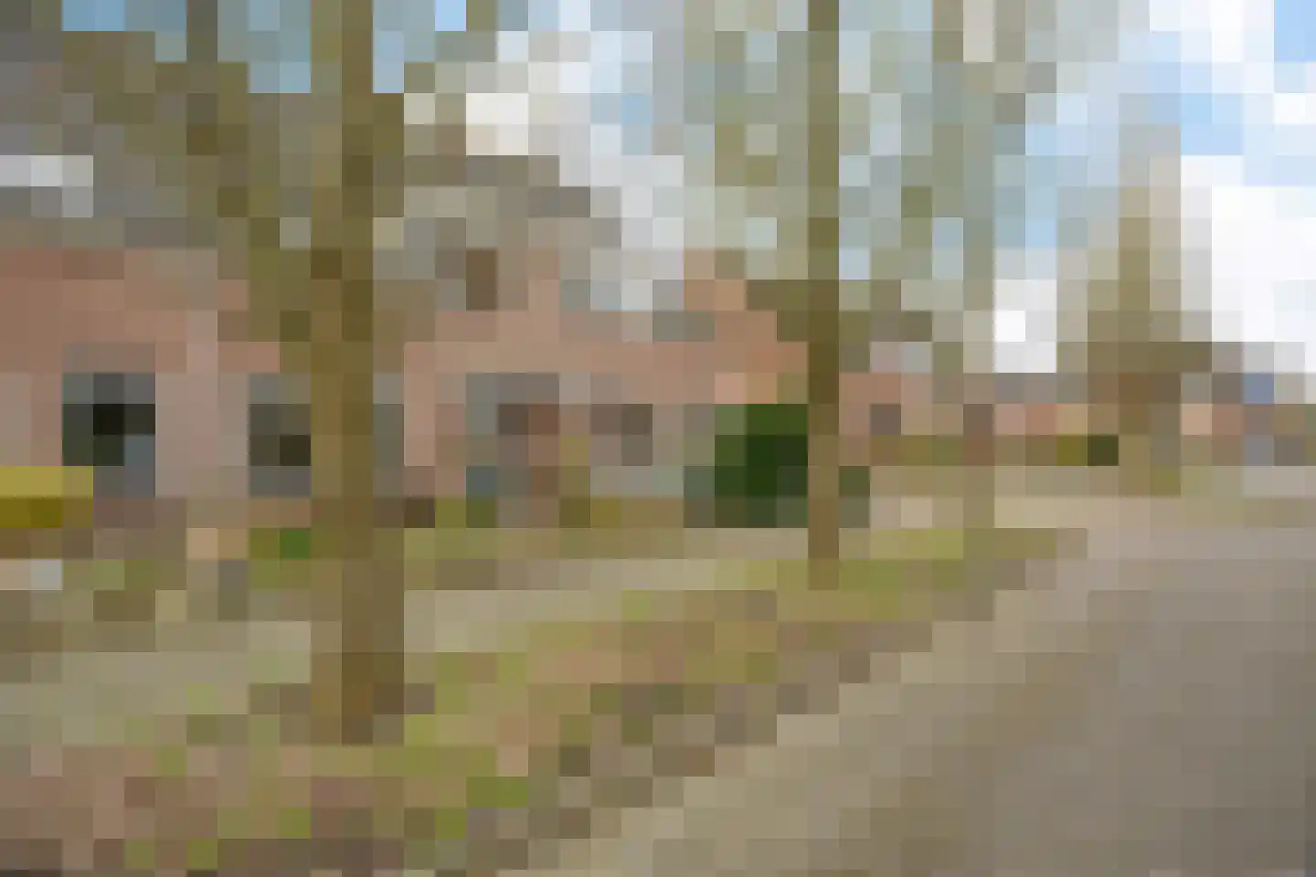 Engelakker 10 Warmenhuizen thumbnail 36