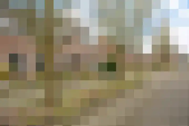 Engelakker 10 Warmenhuizen thumbnail 36