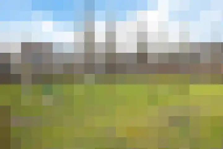 Engelakker 10 Warmenhuizen thumbnail 37