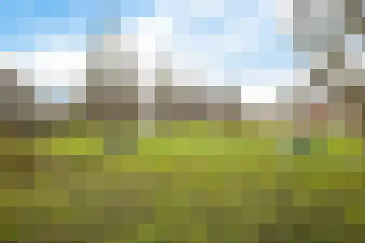 Engelakker 10 Warmenhuizen thumbnail 38