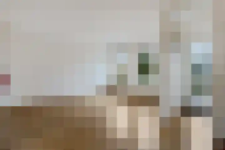 Engelakker 10 Warmenhuizen thumbnail 5