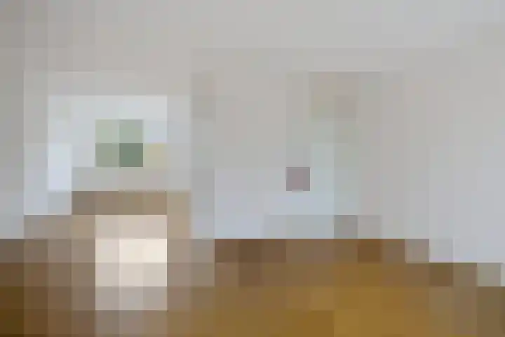 Engelakker 10 Warmenhuizen thumbnail 6