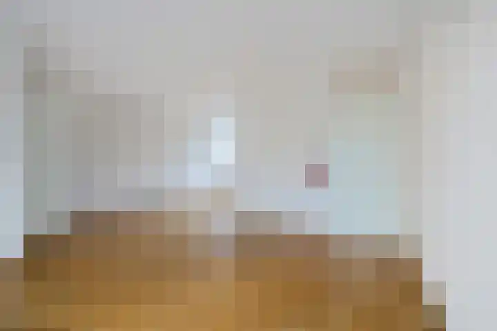 Engelakker 10 Warmenhuizen thumbnail 7