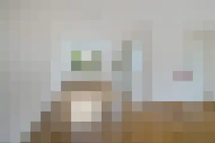 Engelakker 10 Warmenhuizen thumbnail 9