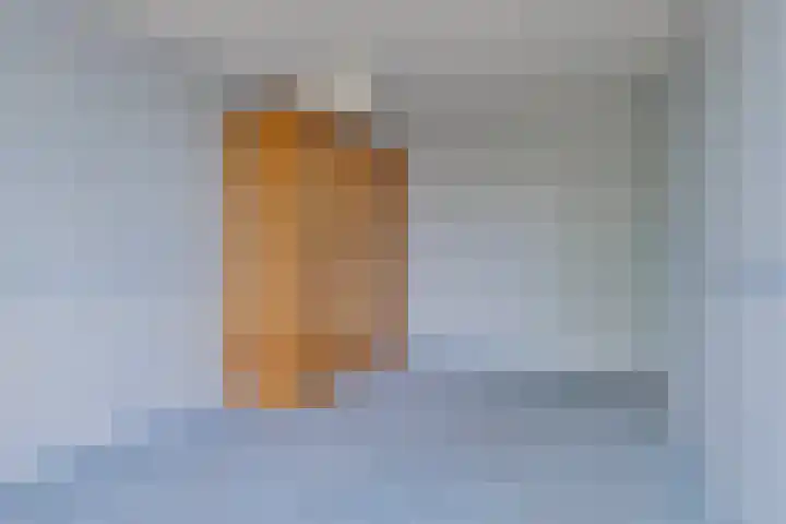 Engelakker 18 Warmenhuizen thumbnail 11