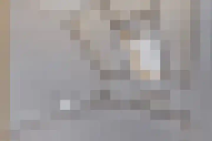 Engelakker 18 Warmenhuizen thumbnail 12