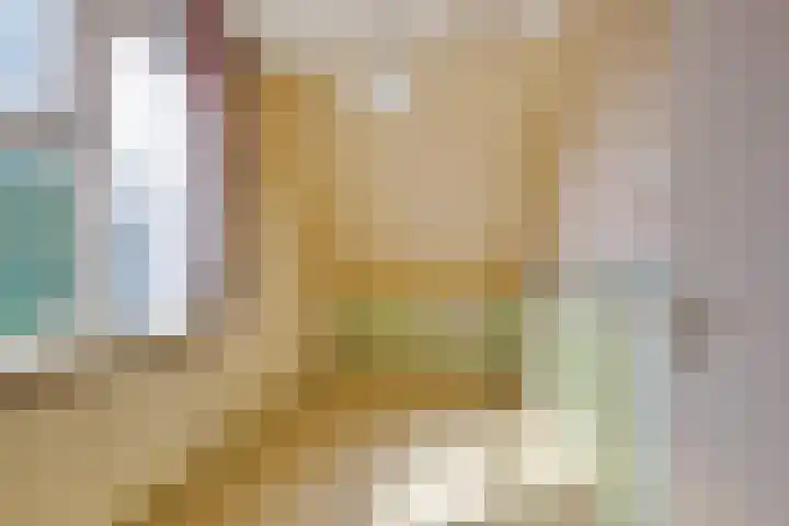 Engelakker 18 Warmenhuizen thumbnail 14