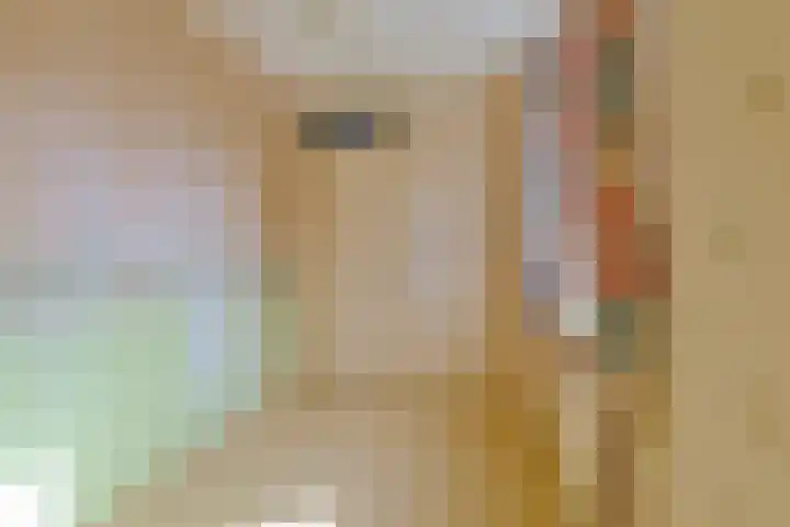Engelakker 18 Warmenhuizen thumbnail 15