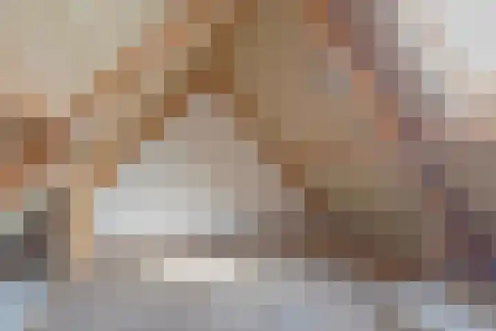 Engelakker 18 Warmenhuizen thumbnail 19