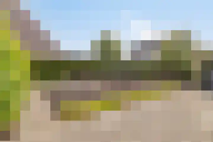 Engelakker 18 Warmenhuizen thumbnail 21