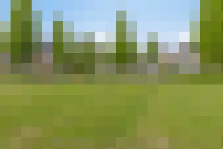 Engelakker 18 Warmenhuizen thumbnail 24