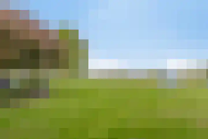 Engelakker 18 Warmenhuizen thumbnail 25