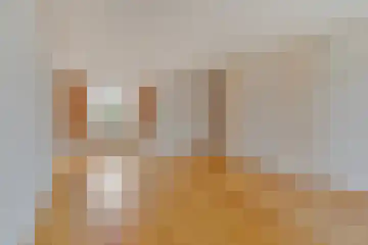 Engelakker 18 Warmenhuizen thumbnail 5