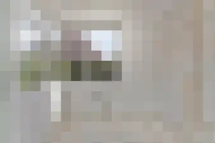 Engelakker 18 Warmenhuizen thumbnail 9
