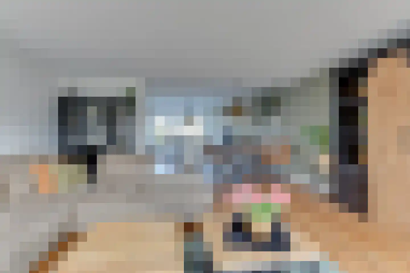Engelakker 22 Warmenhuizen thumbnail 10