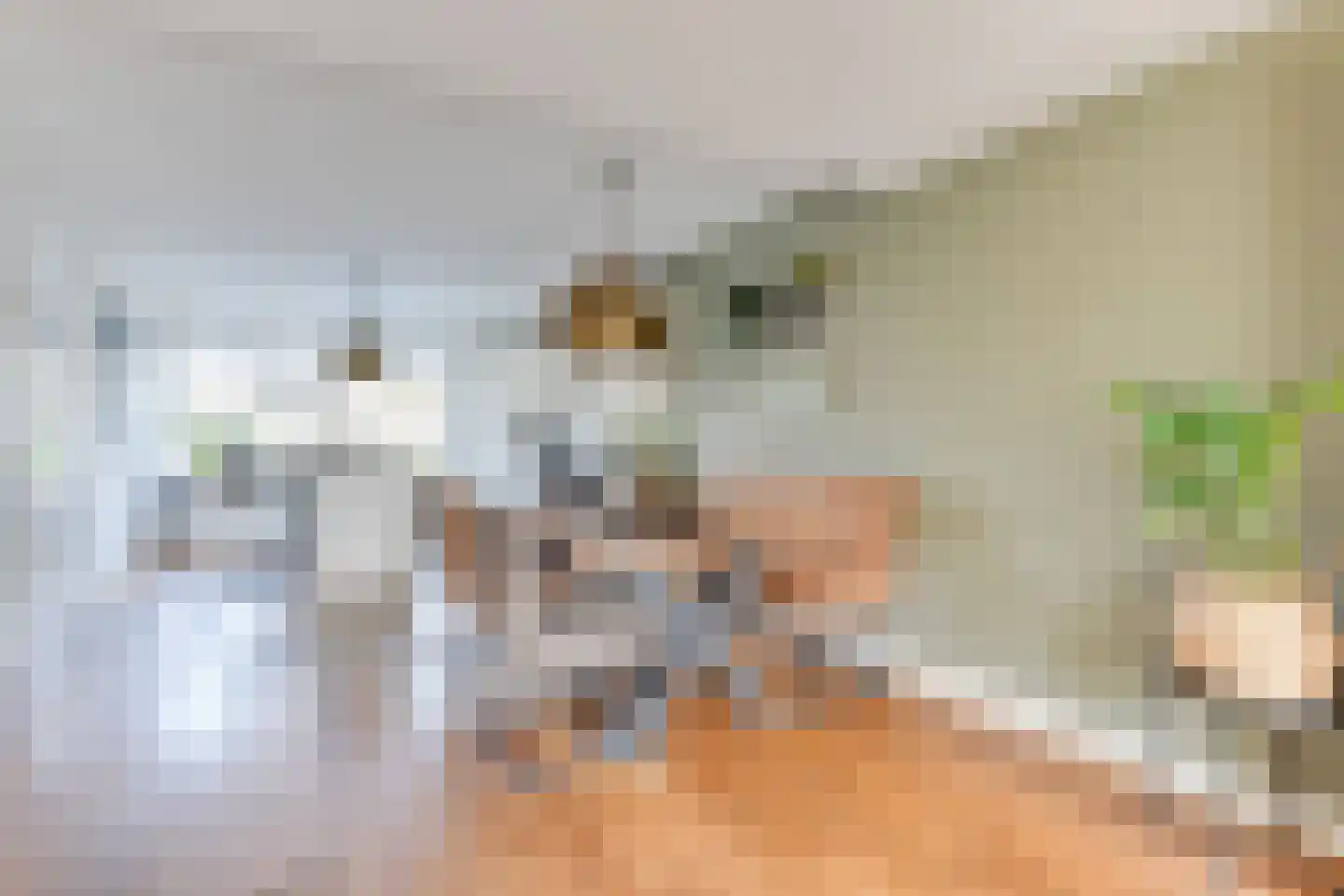 Engelakker 22 Warmenhuizen thumbnail 11
