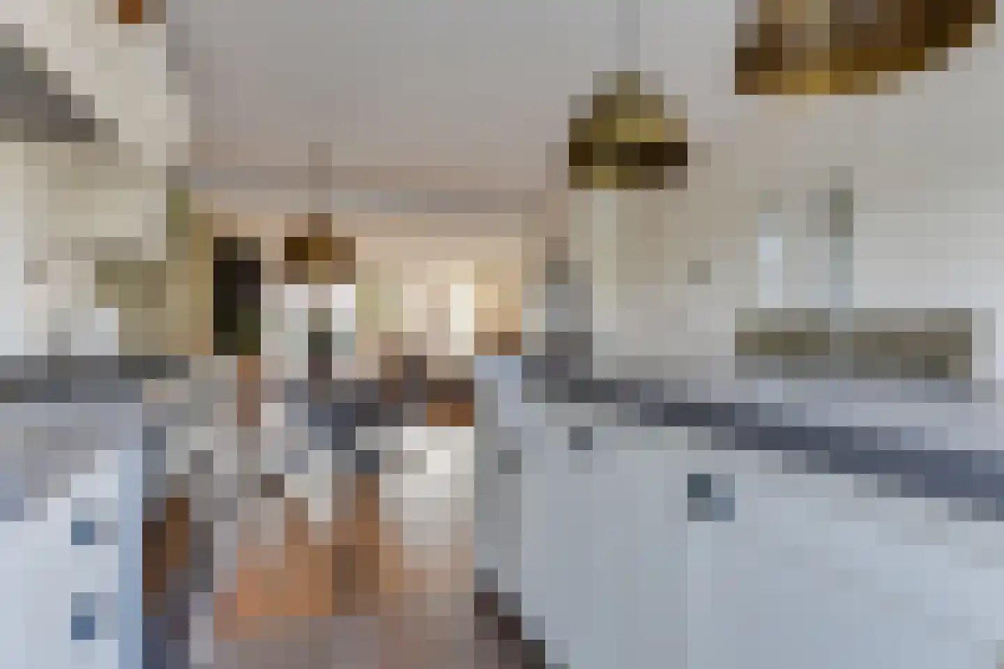 Engelakker 22 Warmenhuizen thumbnail 16