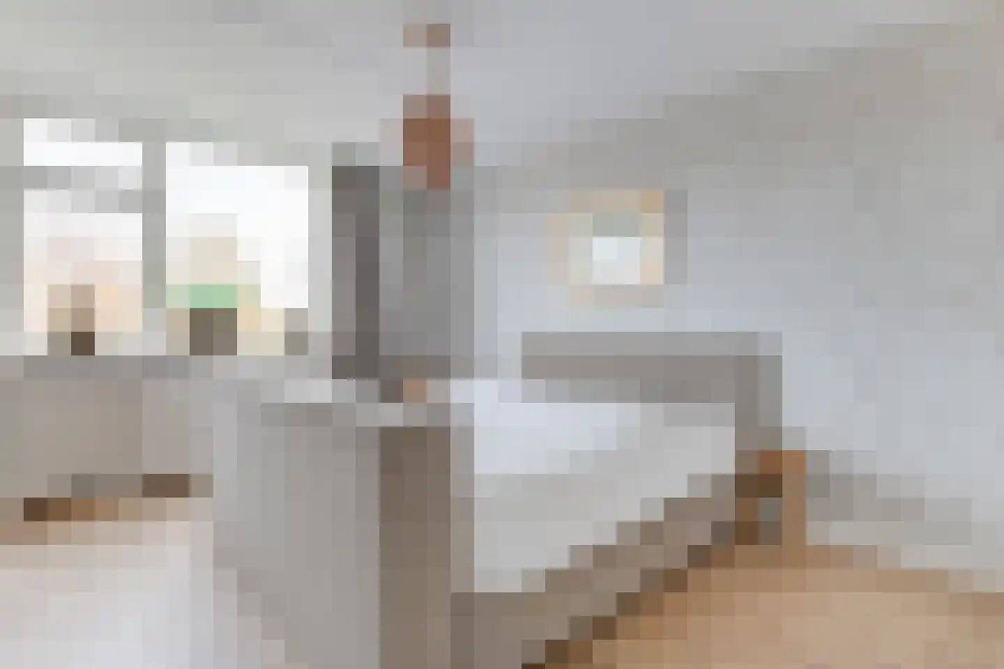 Engelakker 22 Warmenhuizen thumbnail 18