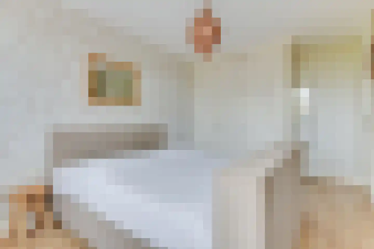 Engelakker 22 Warmenhuizen thumbnail 20