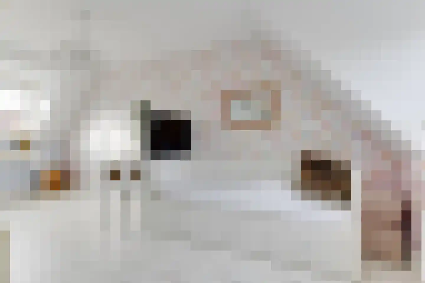 Engelakker 22 Warmenhuizen thumbnail 22