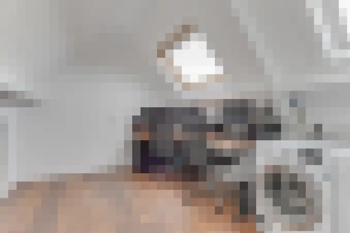 Engelakker 22 Warmenhuizen thumbnail 30