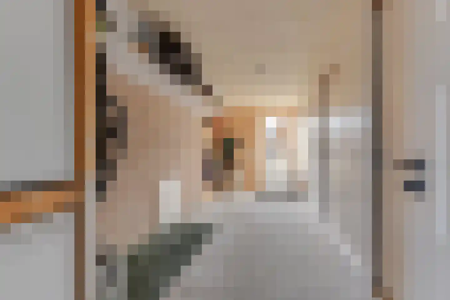 Engelakker 22 Warmenhuizen thumbnail 40