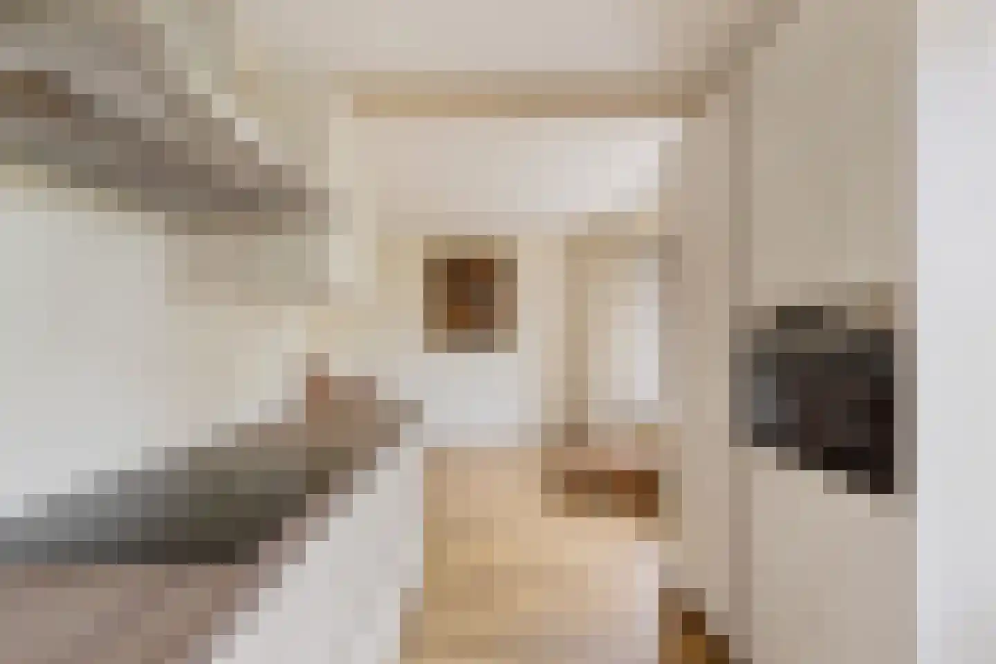Engelakker 32 Warmenhuizen thumbnail 15